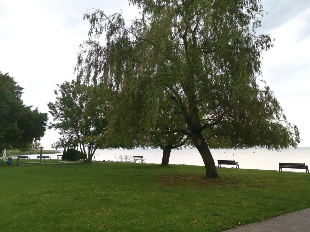 BalatonfůzfőBalcsi1アパートメント エクステリア 写真